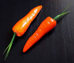 Муляж морковь 2339